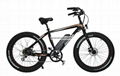 Electric Bike 1