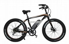 Electric Bike