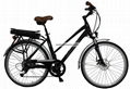 Electric Bike 2