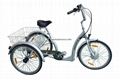 Electric Tricycle