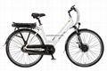 Pedal Assist Bike with High Performance