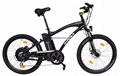 Fast Mountain Electric Bike with 48V