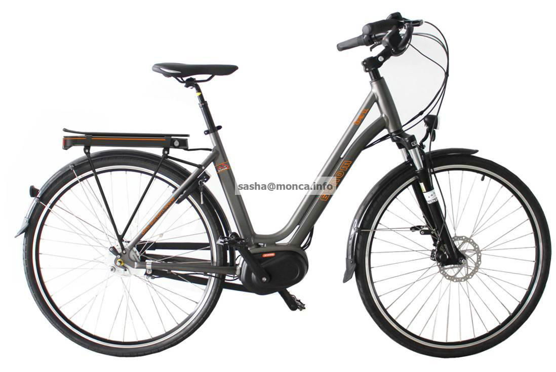 The Lover Electric Bike- Mountain Electric Bicycle for Man 2