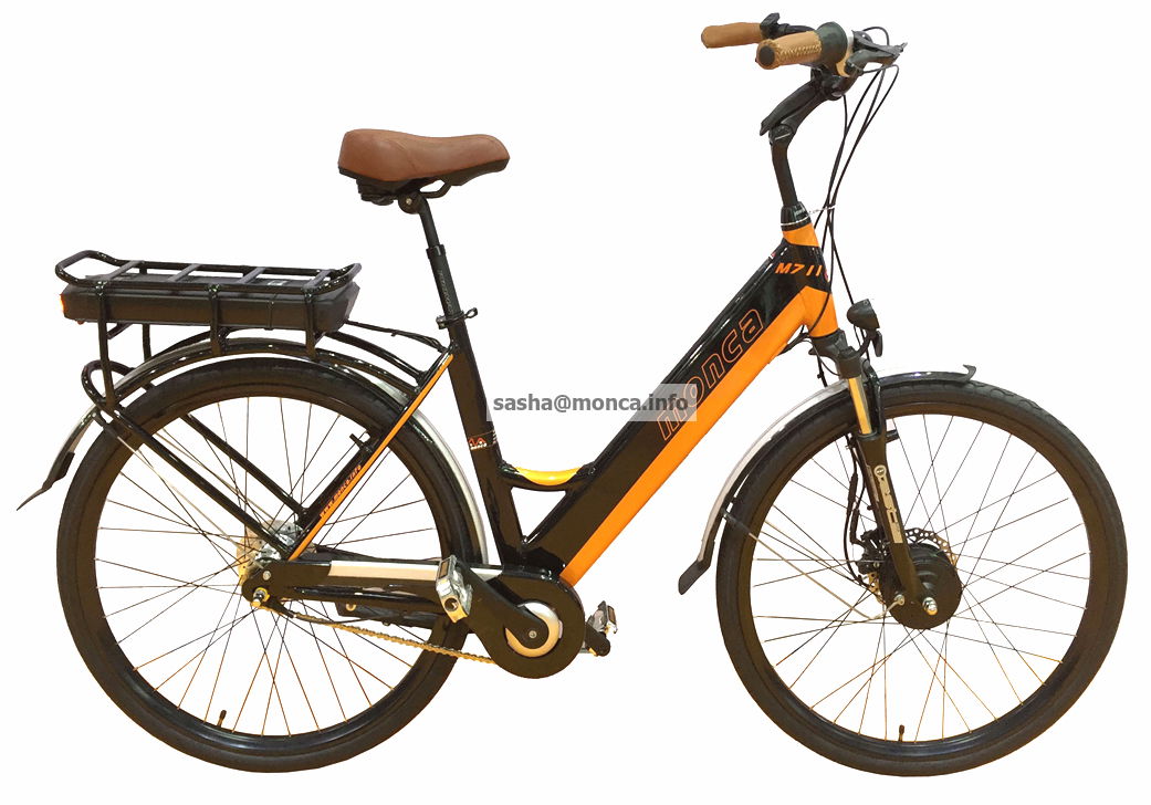 The Lover Electric Bike- Mountain Electric Bicycle for Man 3