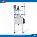 F20 L Buy Chemical Glass Reactor for