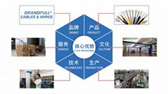 Guangdong GrandFull Electronic Industrial Co.,Ltd