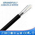 Optical Fiber Cable 1