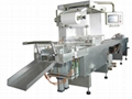 Blister Packing Machine