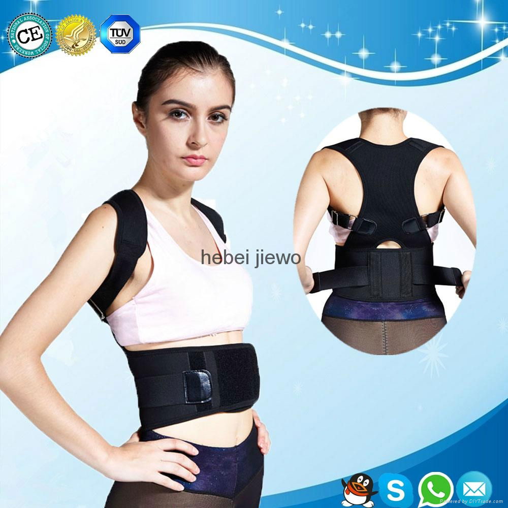 back support belt  3