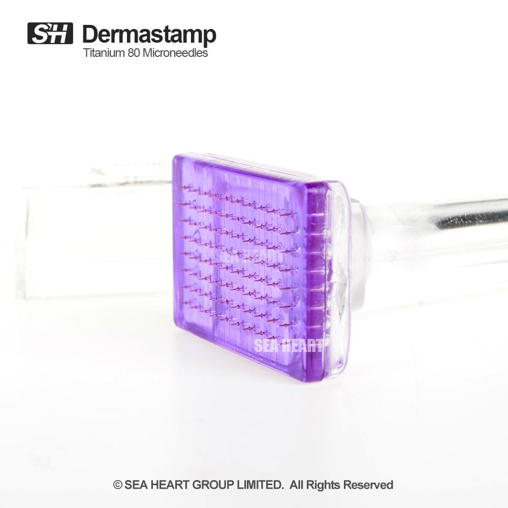 Best price titanium 80 microneedle derma stamp ZGTS with FDA 2