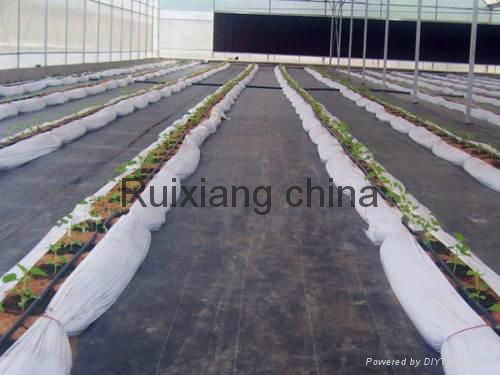 High quality anti aging and anti grass cloth for geotechnical cloth factory 2