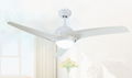 simple style ceiling fan with led light remote 3