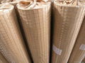 Cheap and High Quality Welded Wire Mesh 1