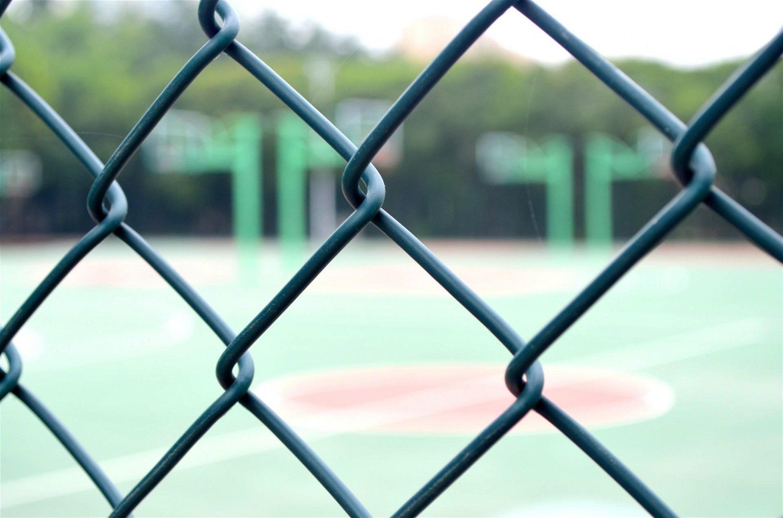 Wholesale chain link fence 