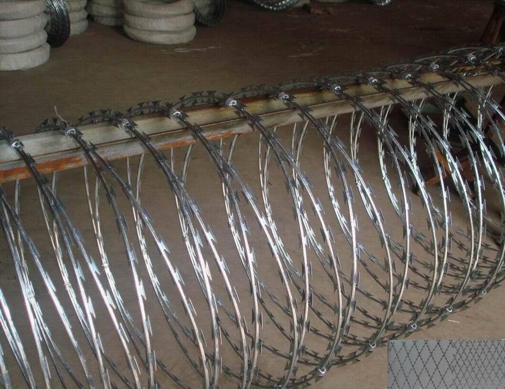 Popular HDP galvanized razor barbed wire