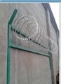 Popular HDP galvanized razor barbed wire 5