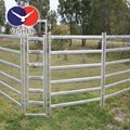 high standard best selling China factory cattle panel 2