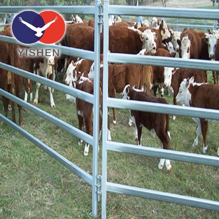 high standard best selling China factory cattle panel 4