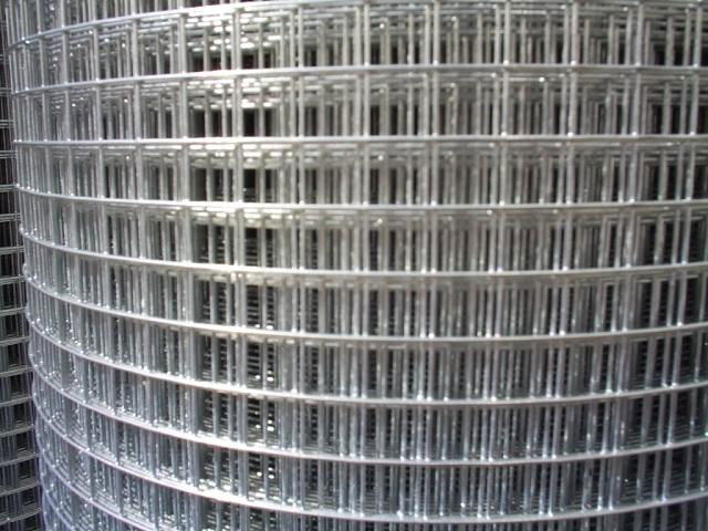 low price 2*2 inch electro galvanized welded wire mesh