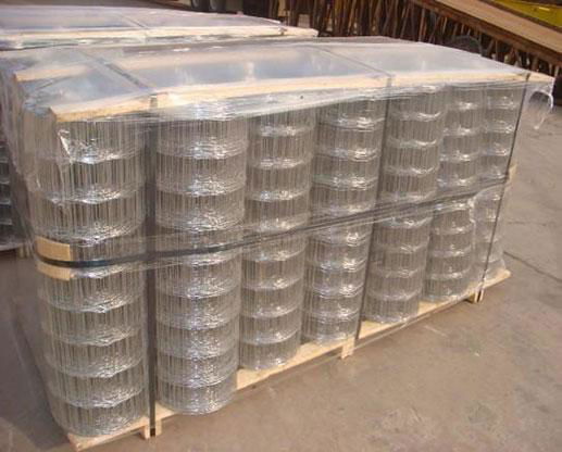 low price 2*2 inch electro galvanized welded wire mesh 2