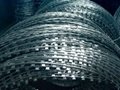 2018 new concertina razor barbed wire price 3