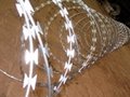 2018 new concertina razor barbed wire price 4