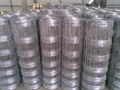 1.5m high heavy galvanized field fence