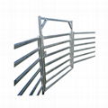 cattle panels for sale