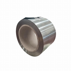 Iron Nickel Seals alloy Invar 42 alloy 42 nilo 42