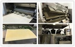 GGHG-39 Full Automatic Wafer Biscuit Line
