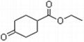 Ethyl 4-oxocyclohexanecarboxylate