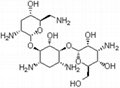 Tobramycin base 32986-56-4 USP&DMF&GMP