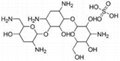 Tobramycin sulfate 79645-27-5 USP&DMF&GMP