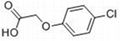 现货供应对氯苯氧乙酸 4-CP