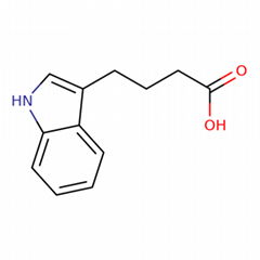 現貨供應 3-吲哚丁酸 133-32-4 98%