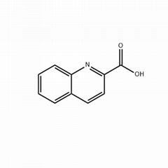 Quinaldic acid 93-10-7 98% In stock