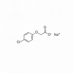 Selling PGR Sodium 4-chlorophenoxyacetate 13730-98-8 suppliers 98%