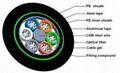 Fiber Optic Cable 1