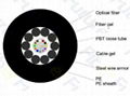 Fiber Optic Cable 1