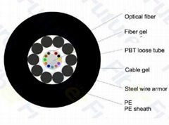 Fiber Optic Cable