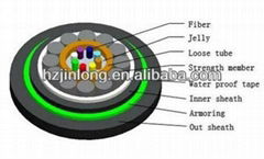 Fiber Optic Cable