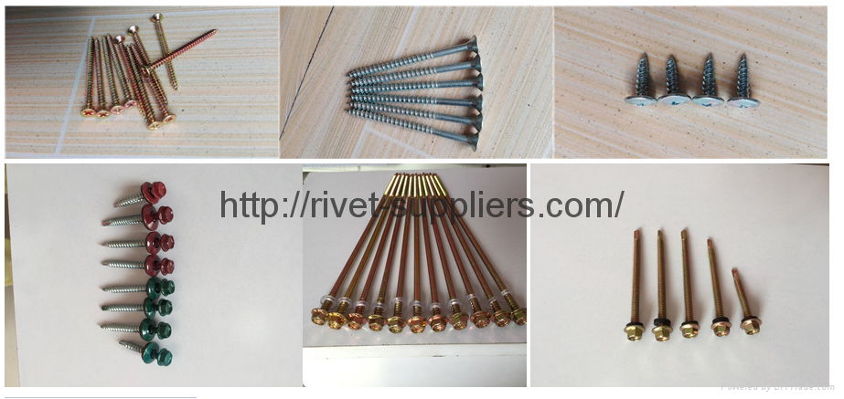 Roofing Screws 3