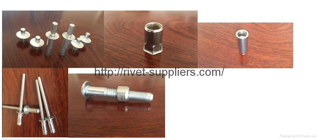 Roofing Screws 4