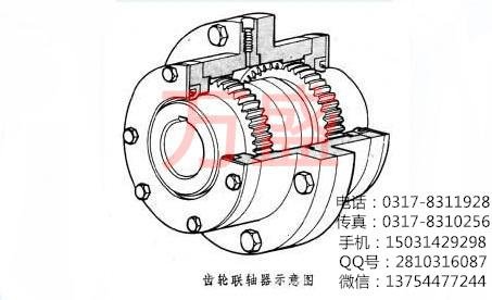 齿轮联轴器的技术文档 齿轮联轴器的结构