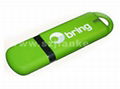 High Quality USB Flash Memory Drive with Logo Printed(102)