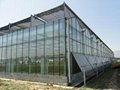 The Cheapest and Easily Installed Sainpoly Agricultural/Commercial Glass Greenho