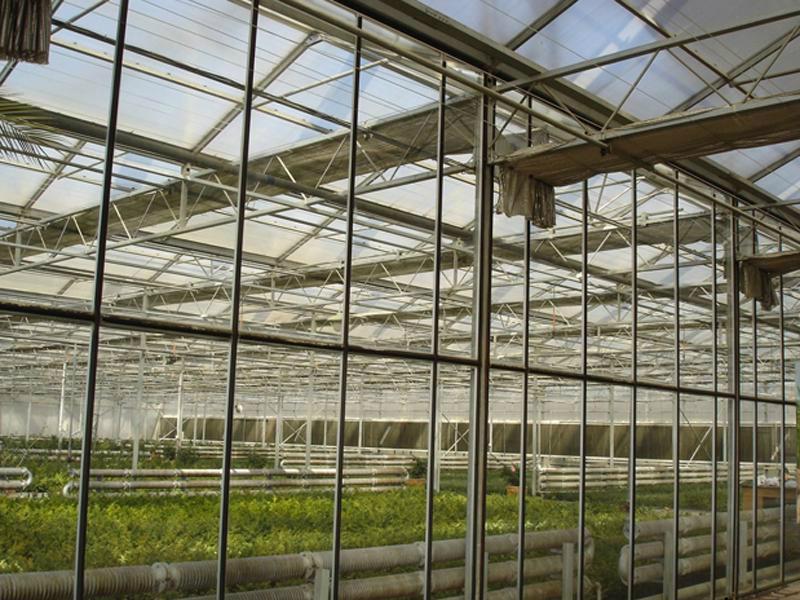 The Cheapest and Easily Installed Sainpoly Glass Greenho SAINPOLY9600