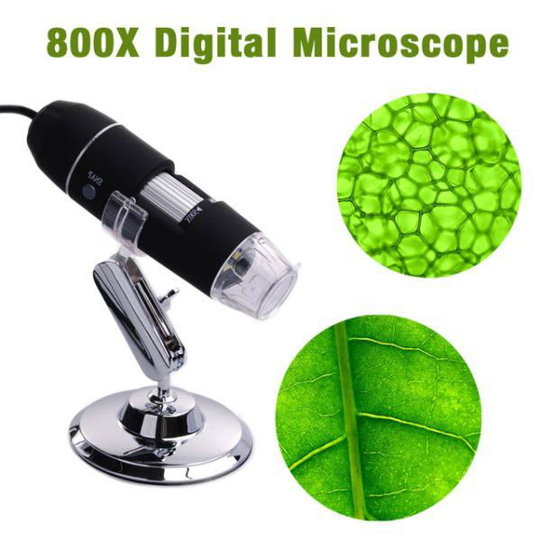 800x Portable Handheld USB Digital Microscope Camera