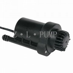 Brushless DC water pump filter submerged