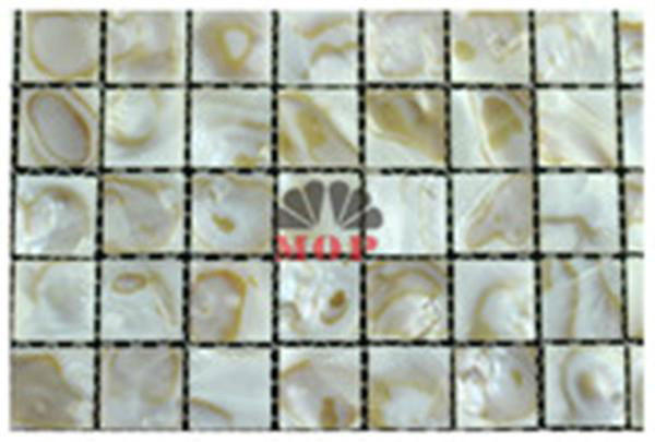 mother of pearl shell mosaic Mirror Tile 2